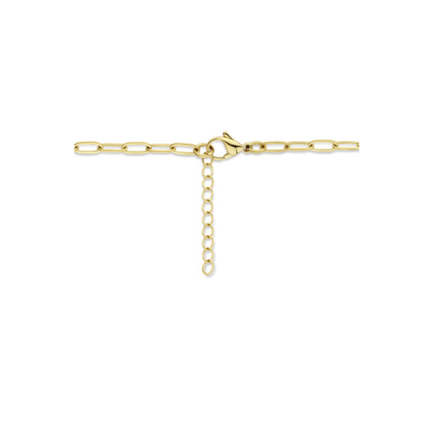 collier paperclip platte buis 8 mm 42 + 3 cm ion plating edelstaal - Afbeelding 3