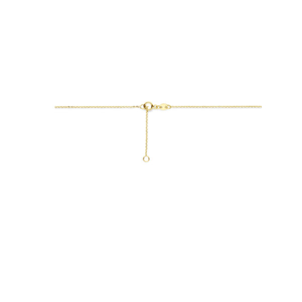 collier parel 42 + 3 cm 14K geelgoud - Afbeelding 3