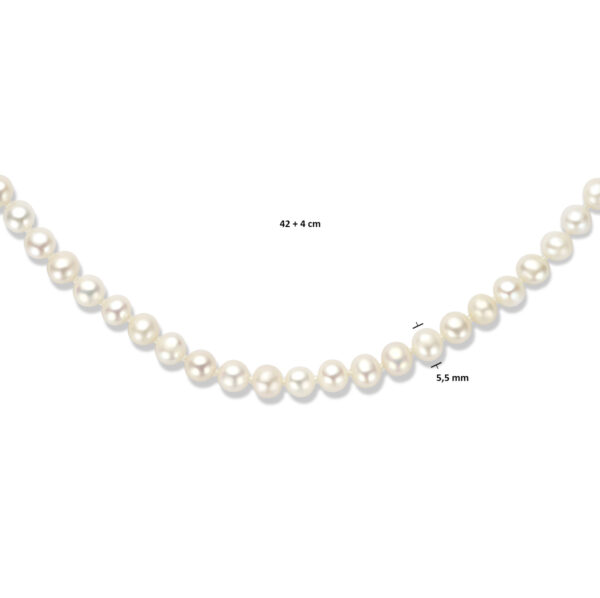collier parel 5,5 mm 42 + 4 cm zilver gerhodineerd - Afbeelding 4