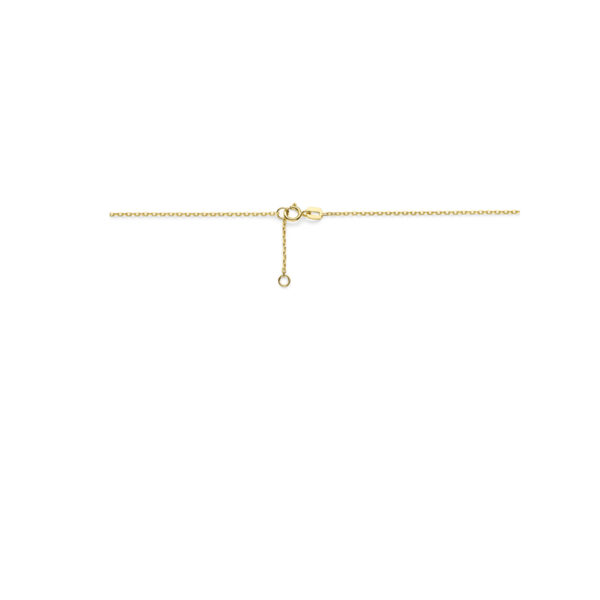 collier rondje en zirkonia 40 - 42 - 44 cm 14K geelgoud - Afbeelding 3