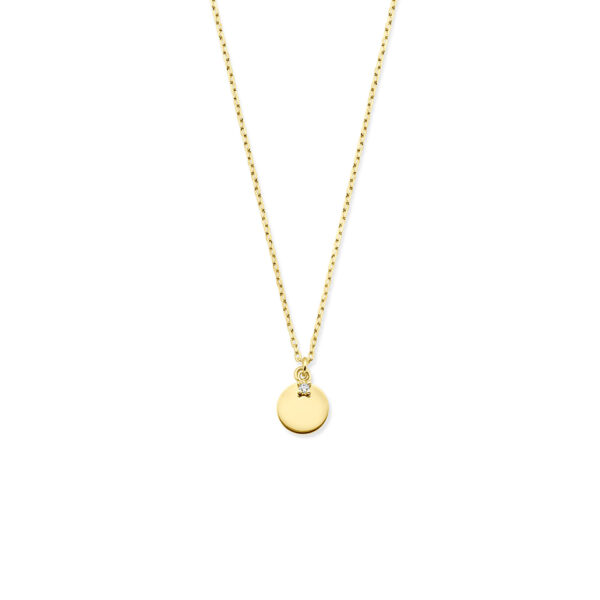 collier rondje zirkonia 40 - 42 - 44 cm 14K geelgoud