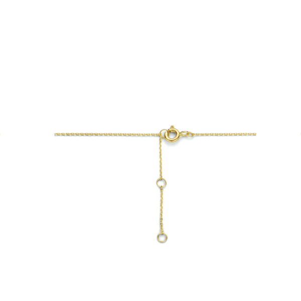 collier rondjes 40 - 42 - 44 cm 14K geelgoud - Afbeelding 3