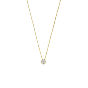 collier rozet zirkonia 40 - 42 - 44 cm 14K geelgoud