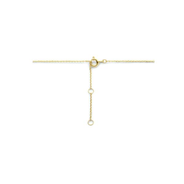 collier slot 40 - 42 - 44 cm 14K geelgoud - Afbeelding 3