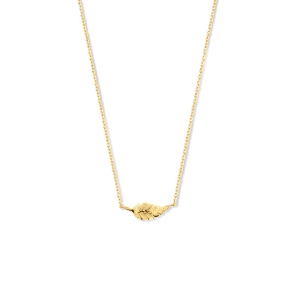 collier veer 0,8 mm 40 - 42 - 44 cm 14K geelgoud