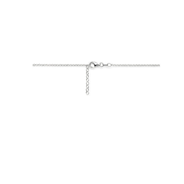 collier veer 40,5 + 3 cm zilver gerhodineerd - Afbeelding 3