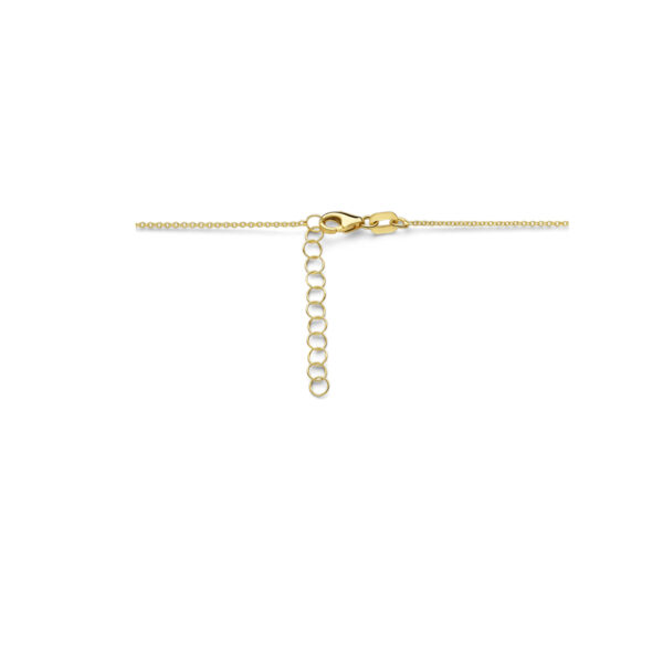 graveercollier plaat 16 mm 41 + 4 cm 14K geelgoud - Afbeelding 3