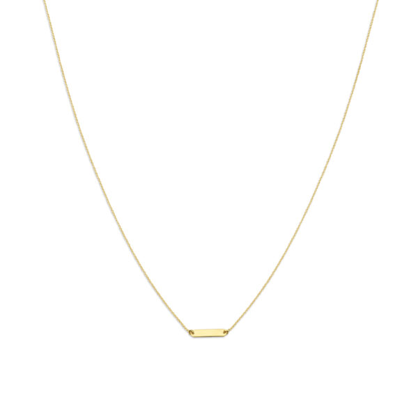 graveercollier plaat 16 mm 41 + 4 cm 14K geelgoud