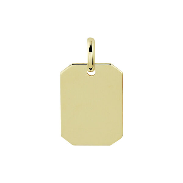 graveerhanger 14K geelgoud