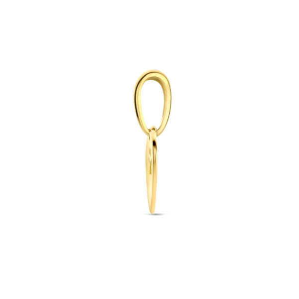graveerhanger hart hondenpoot 14K geelgoud - Afbeelding 3