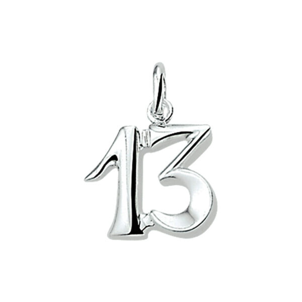 hanger 13 zilver wit