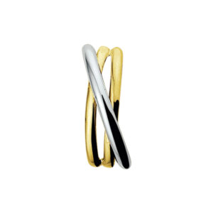 hanger 14K bicolor goud geel/wit