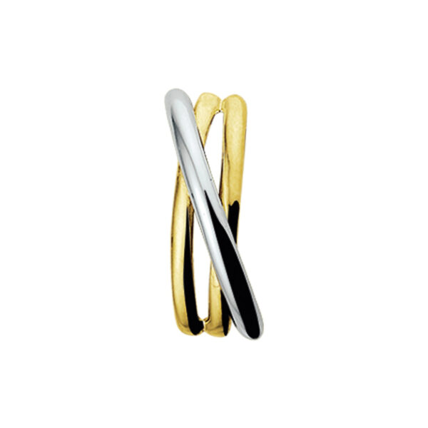 hanger 14K bicolor goud geel/wit