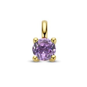 hanger amethist 14K geelgoud