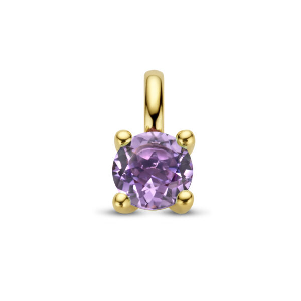 hanger amethist 14K geelgoud