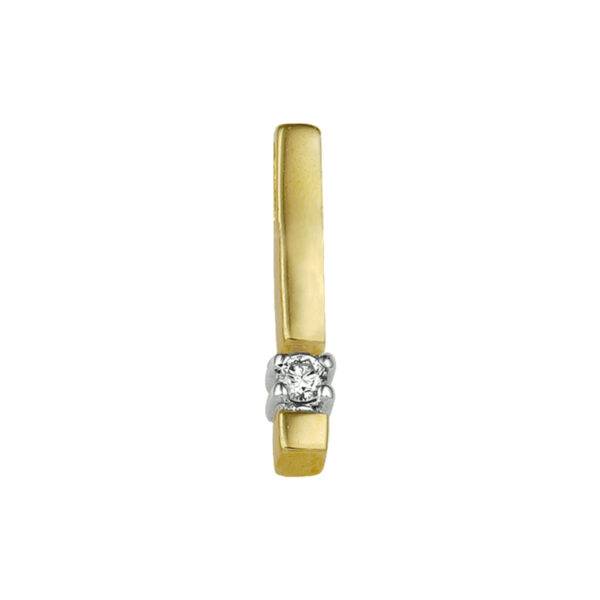 hanger diamant 0.05ct h p1 14K bicolor goud geel/wit