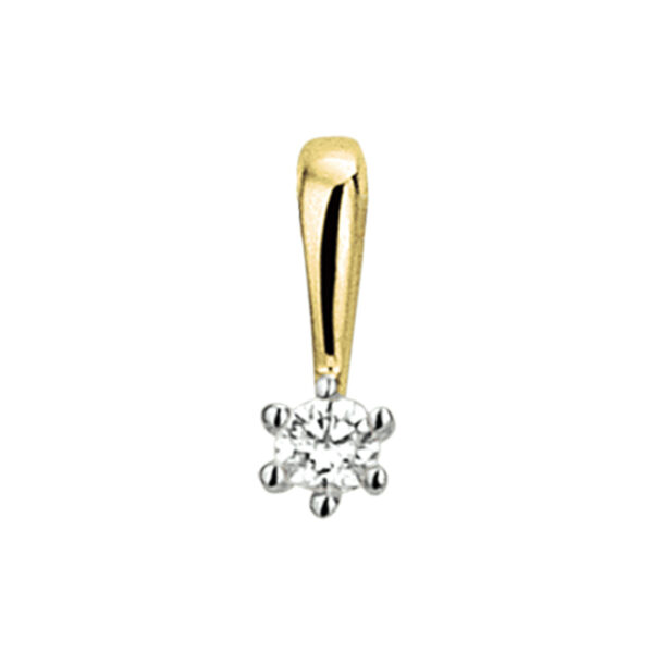 hanger diamant 0.05ct h si 14K bicolor goud geel/wit