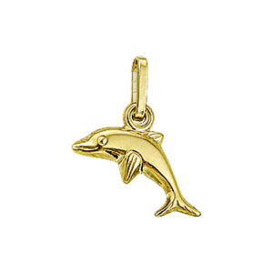 hanger dolfijn 14K geelgoud