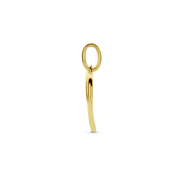 hanger hartjes zirkonia 14K bicolor goud geel/wit - Afbeelding 3