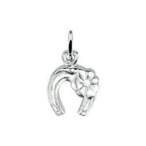 hanger hoef zilver wit