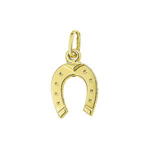 hanger hoefijzer 14K geelgoud