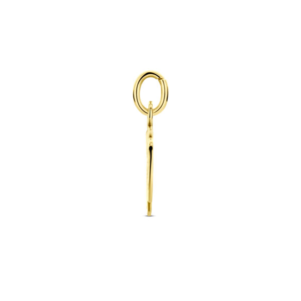 hanger jongen 15 x 11 mm 14K geelgoud - Afbeelding 3