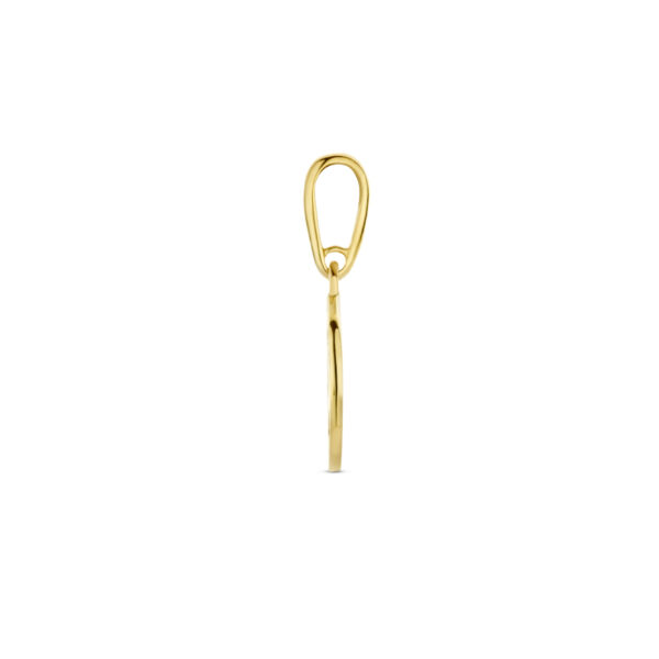 hanger kompas 14K geelgoud - Afbeelding 3
