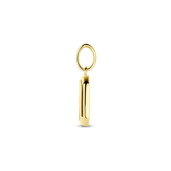 hanger onyx 20 mm 1 micron zilver verguld (geel) - Afbeelding 3