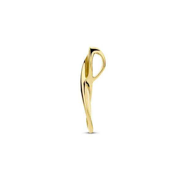 hanger poli/mat 14K geelgoud - Afbeelding 3