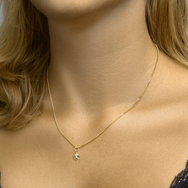 hanger poolster zirkonia 14K geelgoud - Afbeelding 2