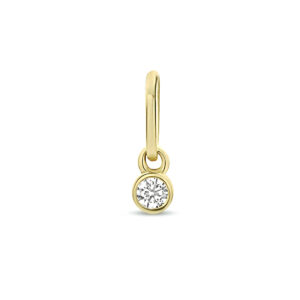 hanger rond zirkonia 14K geelgoud