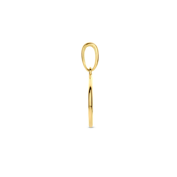 hanger rondje 14K geelgoud - Afbeelding 3