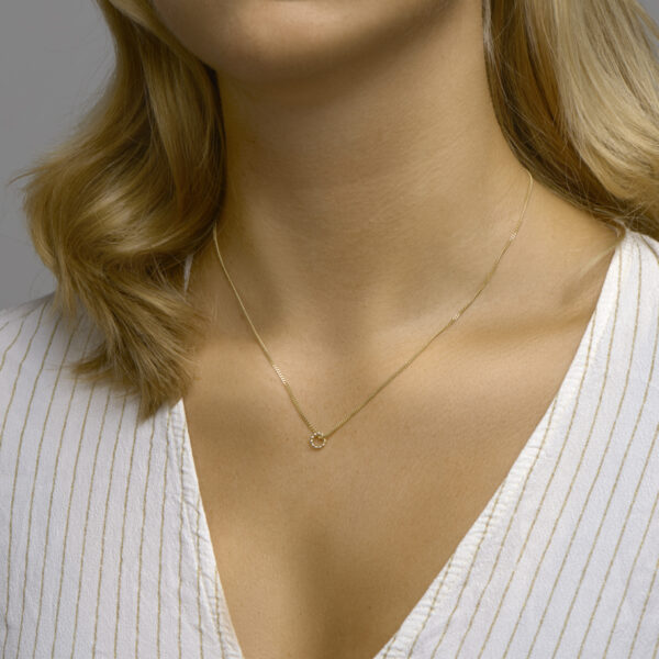 hanger rondje bolletjes 14K geelgoud - Afbeelding 2