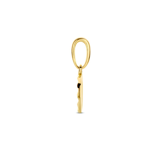hanger rondje gediamanteerd 14K geelgoud - Afbeelding 3