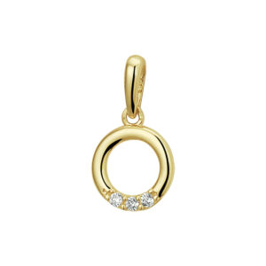 hanger rondje zirkonia 14K geelgoud