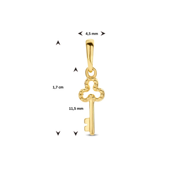 hanger sleutel 14K geelgoud - Afbeelding 4