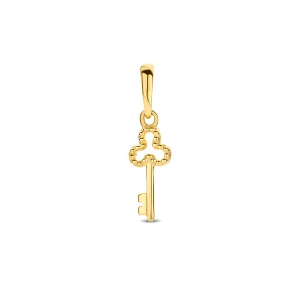 hanger sleutel 14K geelgoud