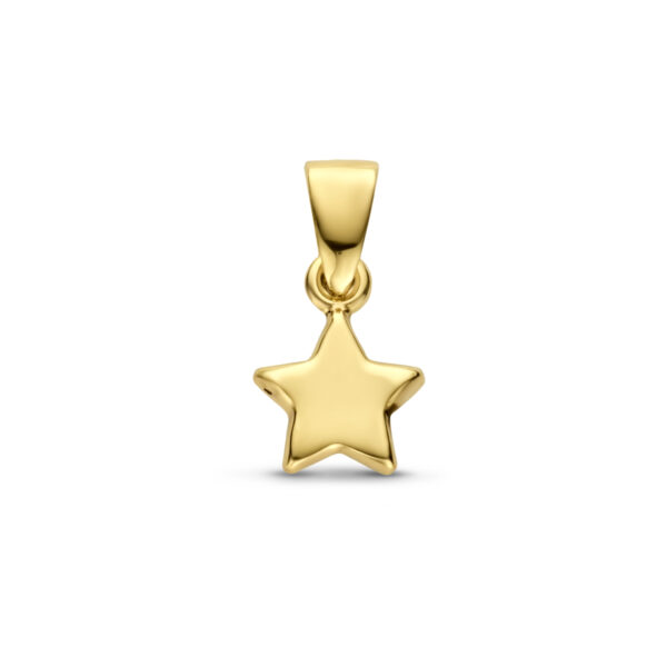 hanger ster 14K geelgoud