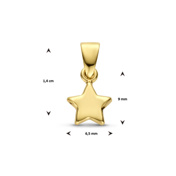 hanger ster 14K geelgoud - Afbeelding 4