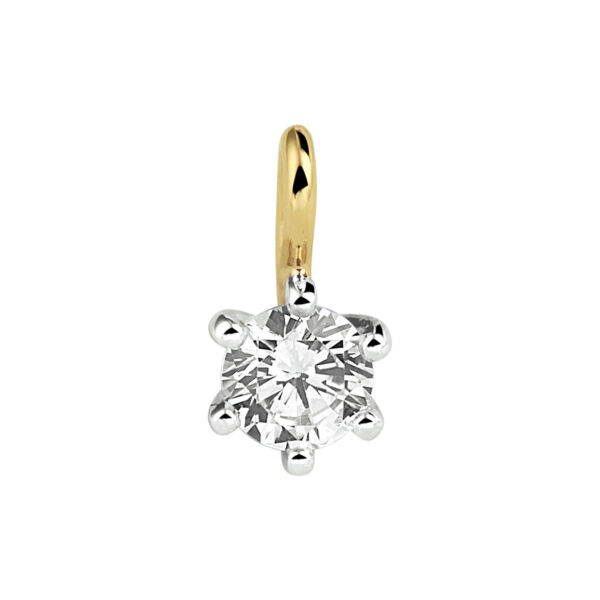 hanger zirkonia 14K bicolor goud geel/wit