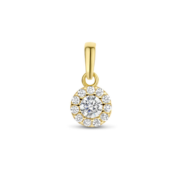 hanger zirkonia halo 14K geelgoud