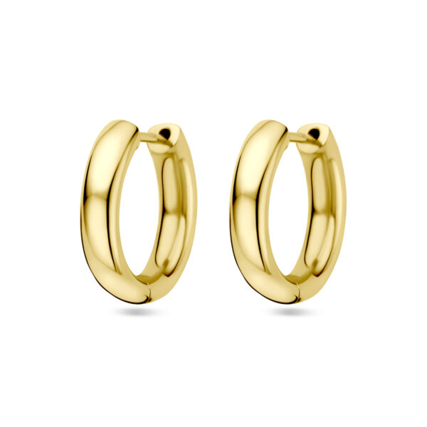klapoorringen 14K geelgoud