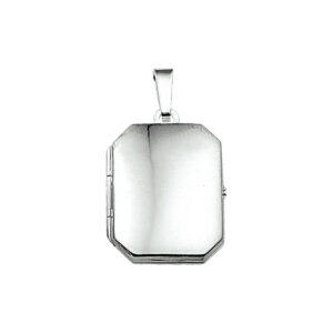 medaillon zilver wit