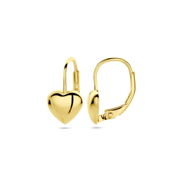 oorhangers hart brisur haak 1 micron zilver verguld (geel) - Afbeelding 3