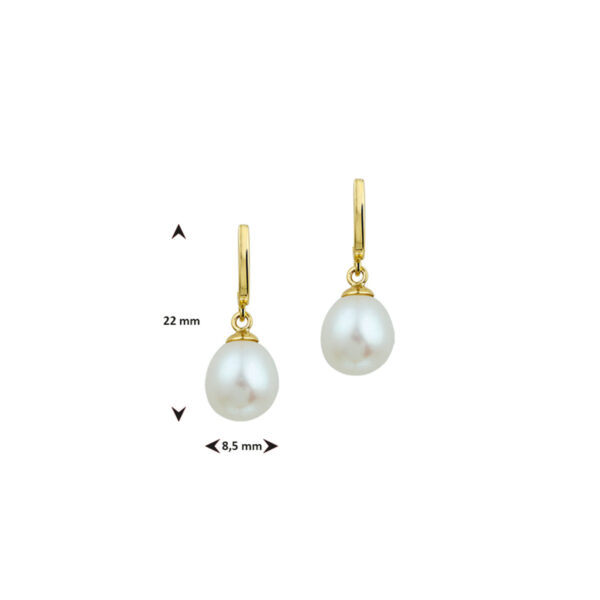 oorhangers parel 12 x 8,5 mm 14K geelgoud - Afbeelding 3