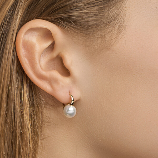oorhangers parel brisur haak 14K geelgoud - Afbeelding 2