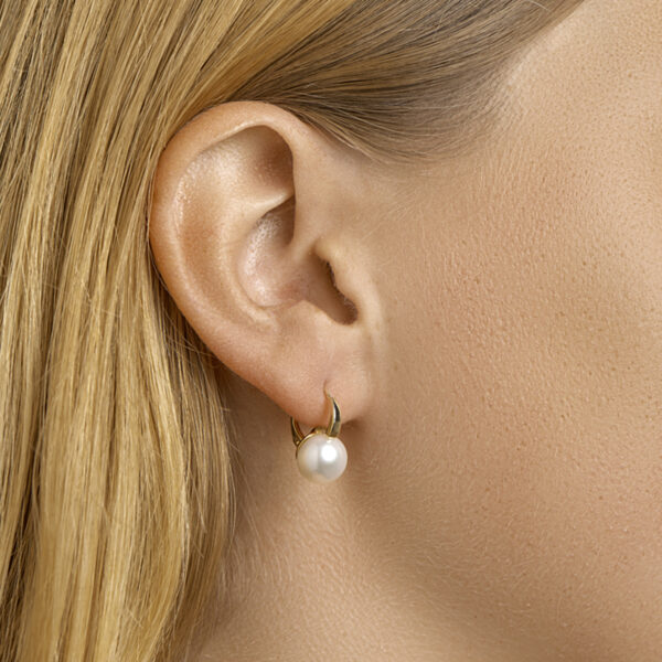 oorhangers parel brisur haak 14K geelgoud - Afbeelding 3