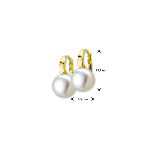 oorhangers parel brisur haak 14K geelgoud - Afbeelding 5