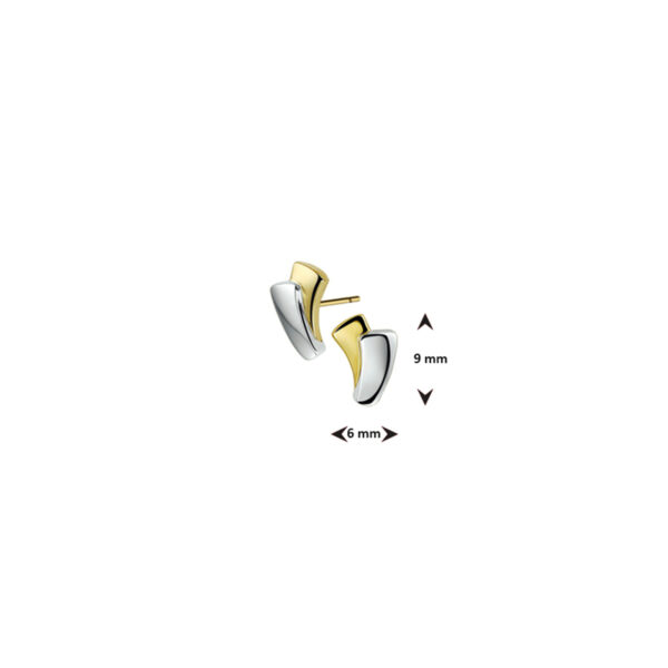 oorknoppen 14K bicolor goud geel/wit - Afbeelding 3