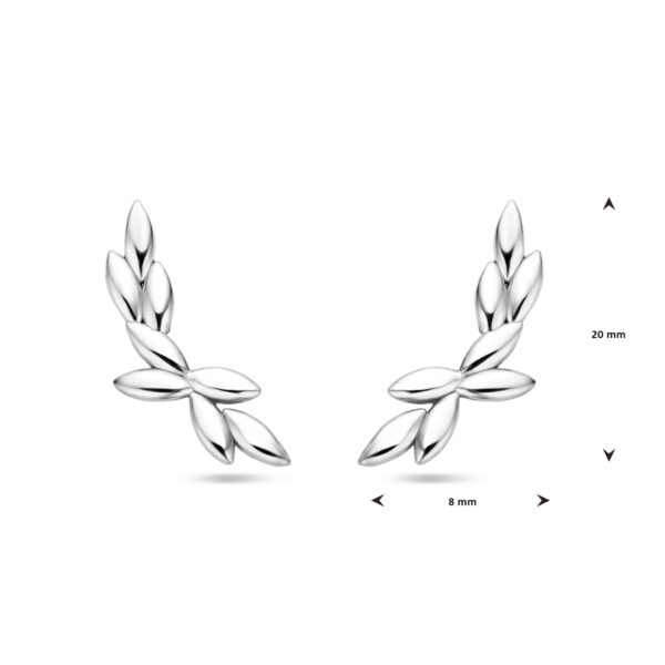 oorknoppen 20 mm zilver gerhodineerd - Afbeelding 4
